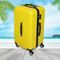 30 Inch / 76cm Suitcases
