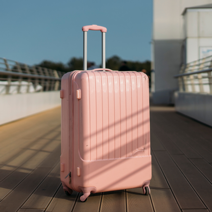 Collection image for: Large Suitcases
